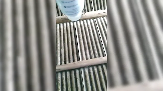 Nymphet leaked live fucking her pussy