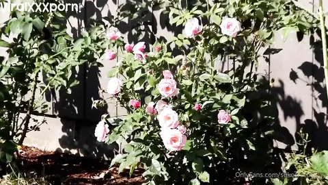 Cosplay Tease Ignites Savage Bedroom Hammering