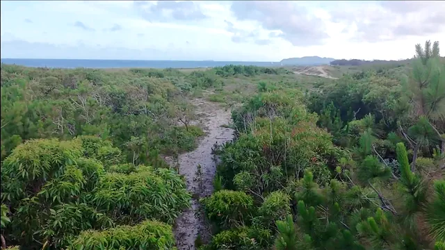 Drone flagra casal transando no mato