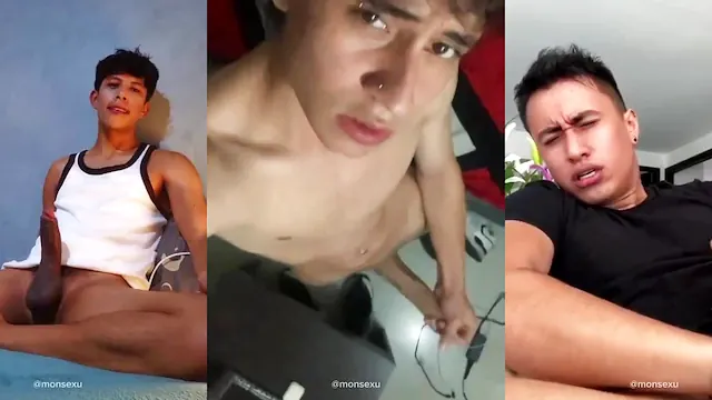 Machos do pau grande pmv