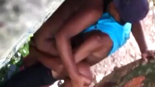 Couple caught having sex behind a tree