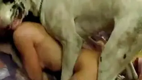 Senhora com tesão brilha em um filme de foda de cachorro