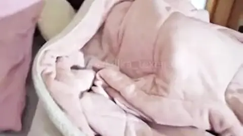 Lillika Teixeira's Husband Catches Her Masturbating
