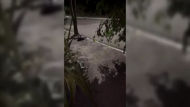 Boqueteira gostosa e puta